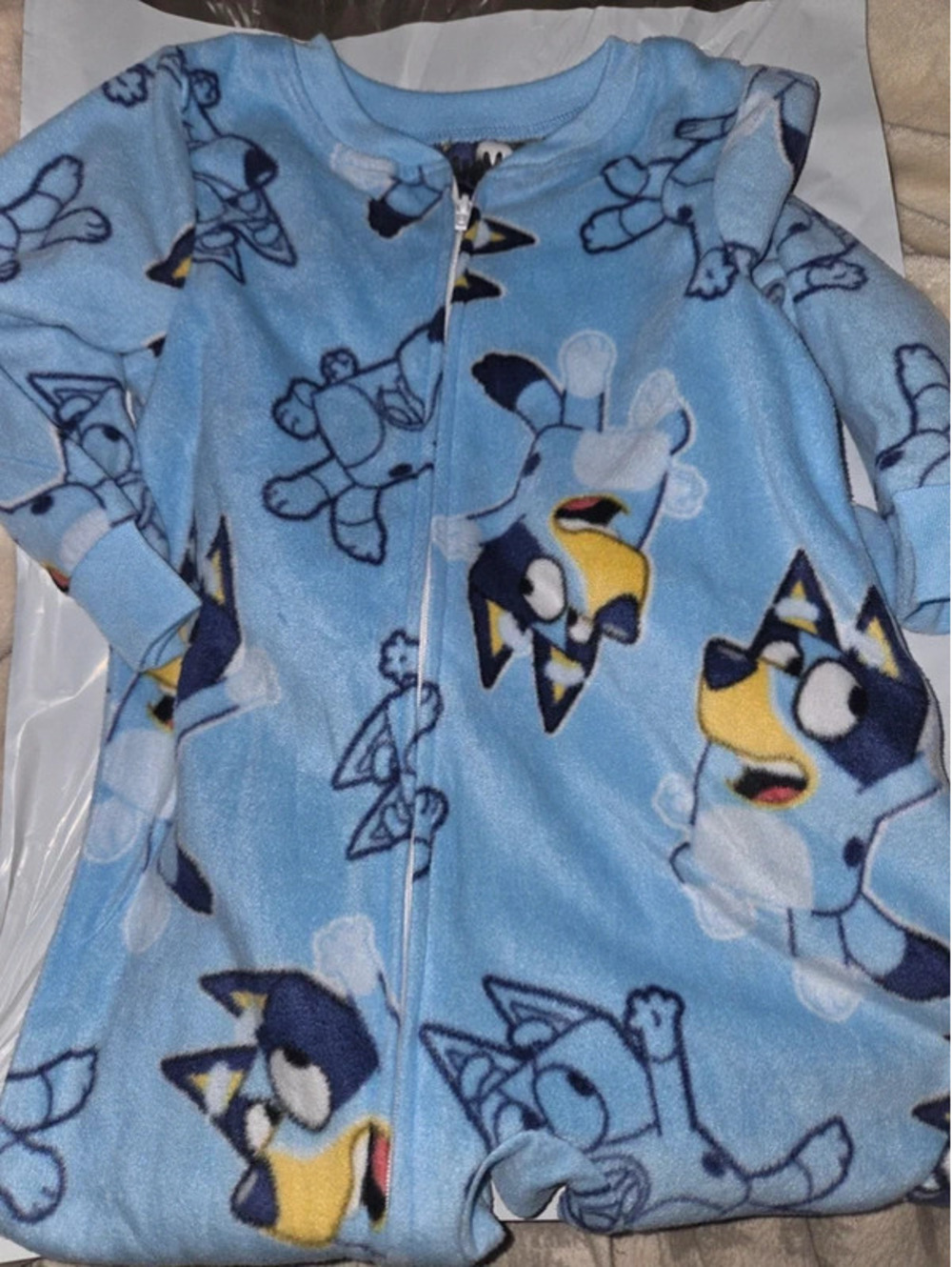 Bluey footed pajama 2T